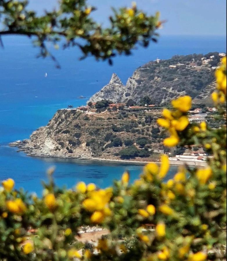 Il Giardino Di Capo Vaticano B&B And Apartments Ngoại thất bức ảnh