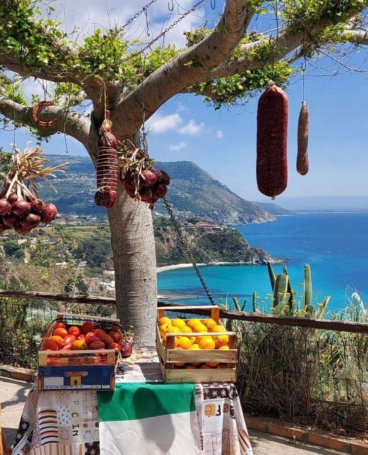 Il Giardino Di Capo Vaticano B&B And Apartments Ngoại thất bức ảnh