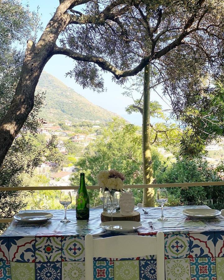 Il Giardino Di Capo Vaticano B&B And Apartments Ngoại thất bức ảnh