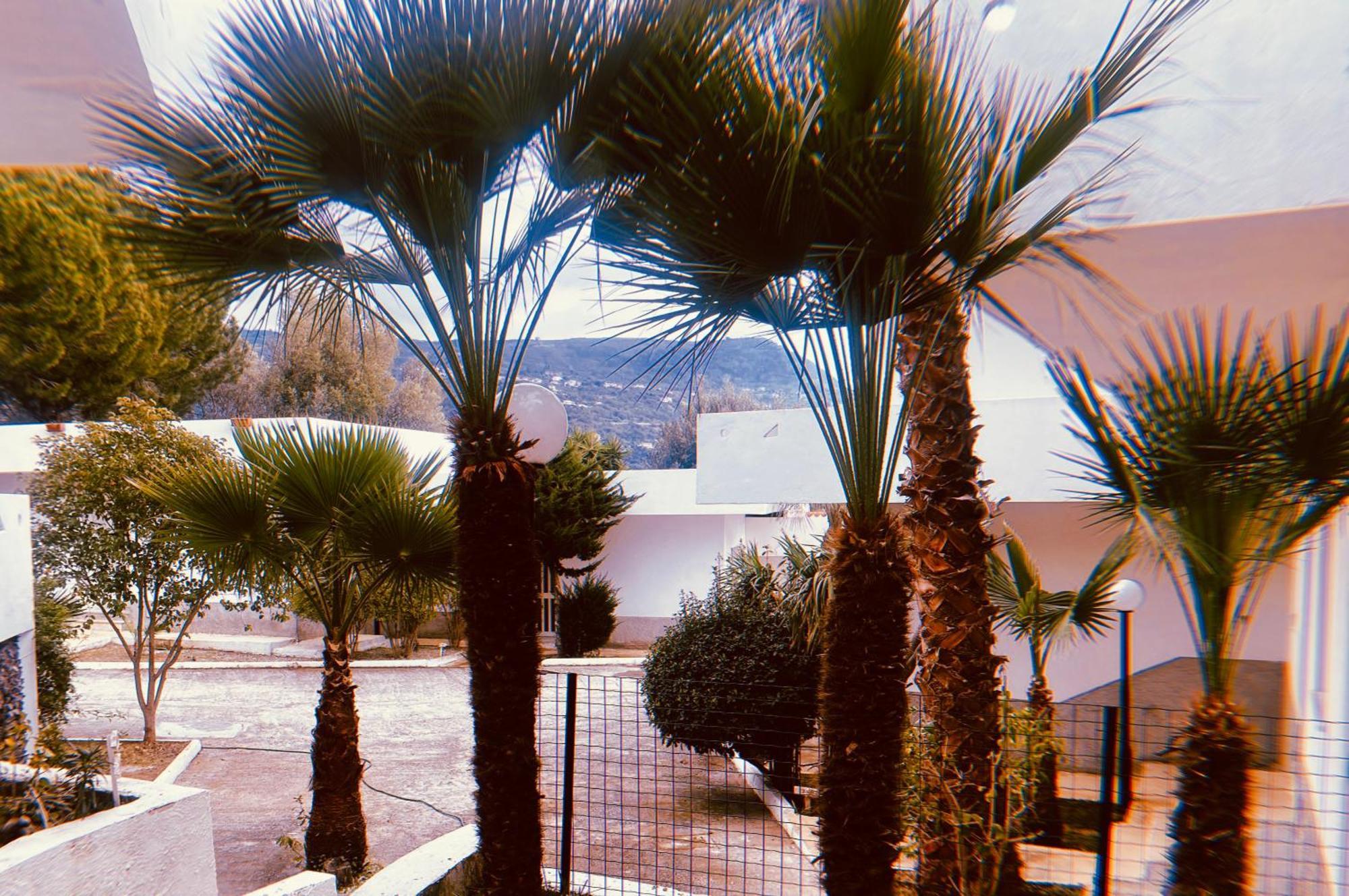 Il Giardino Di Capo Vaticano B&B And Apartments Ngoại thất bức ảnh